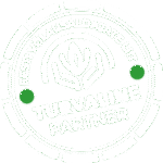 Turvaline partner